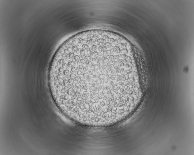 X0000116850846201002021044