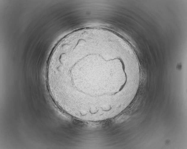 X0000116850848201002021044