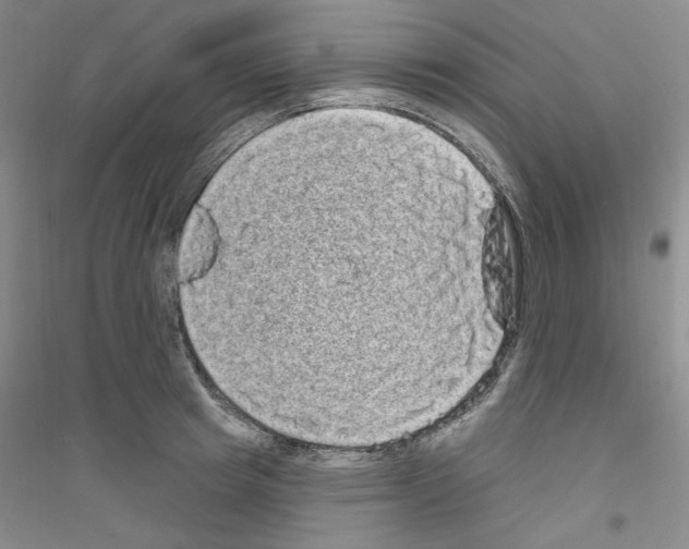 X0000116850849201002021044