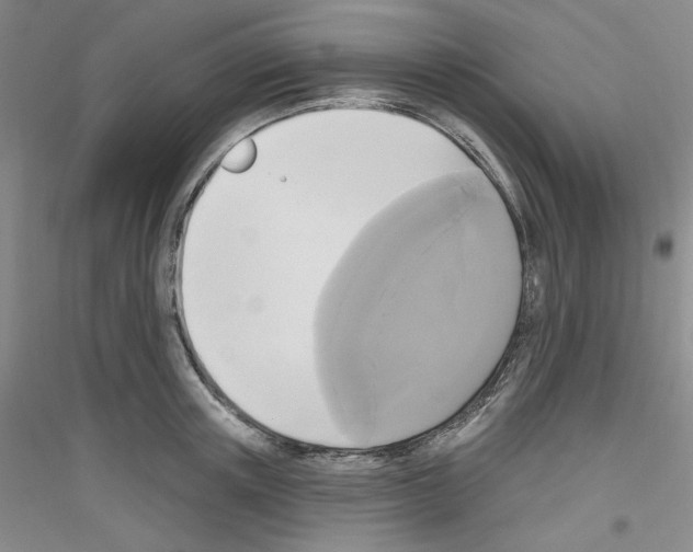 X0000116850851201002021044