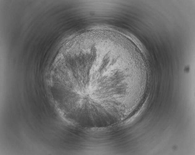 X0000116850857201002021044