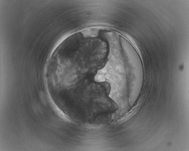 X0000116850859201002021044