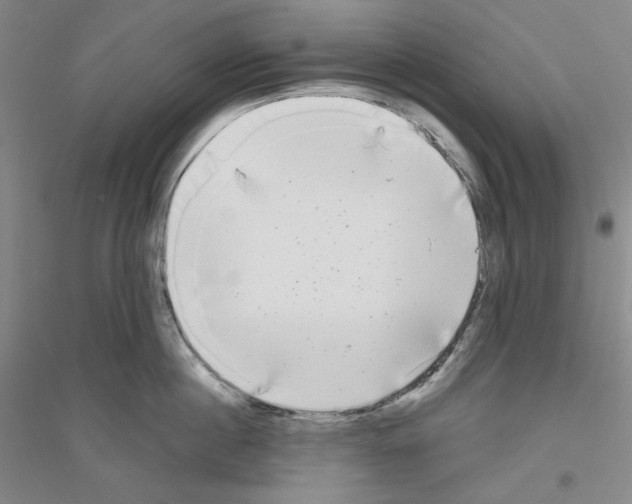 X0000116850860201002021044