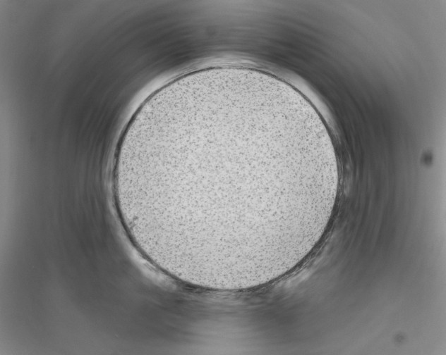 X0000116850861201002021044