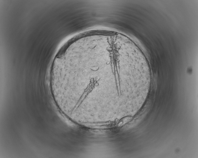 X0000116850862201002021044