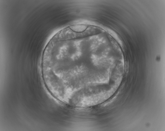 X0000116850863201002021044