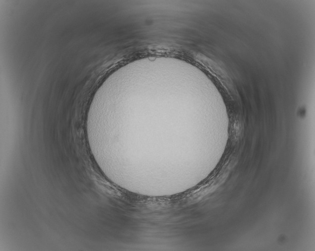X0000116850865201002021043