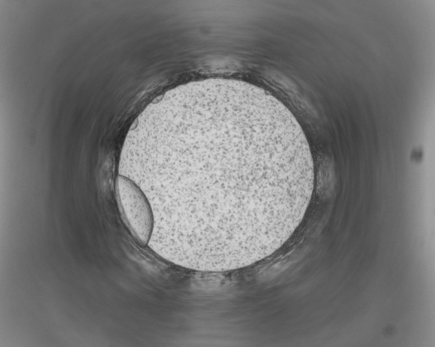 X0000116850866201002021043
