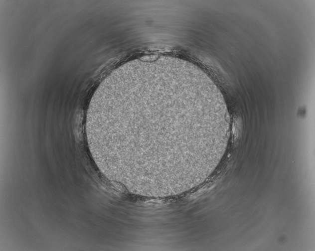 X0000116850867201002021043