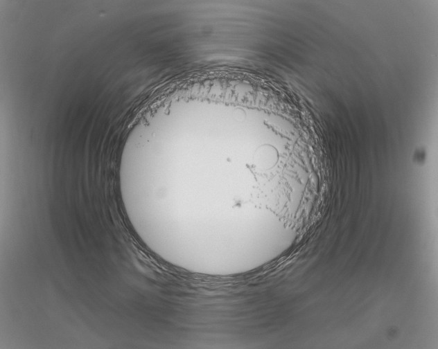 X0000116850868201002021043