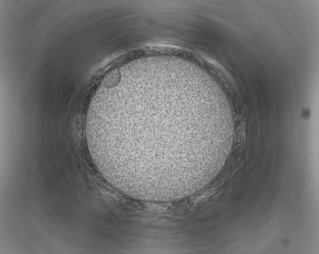 X0000116850870201002021043