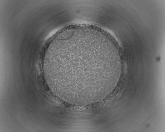 X0000116850871201002021043