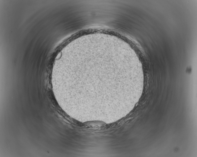 X0000116850872201002021043