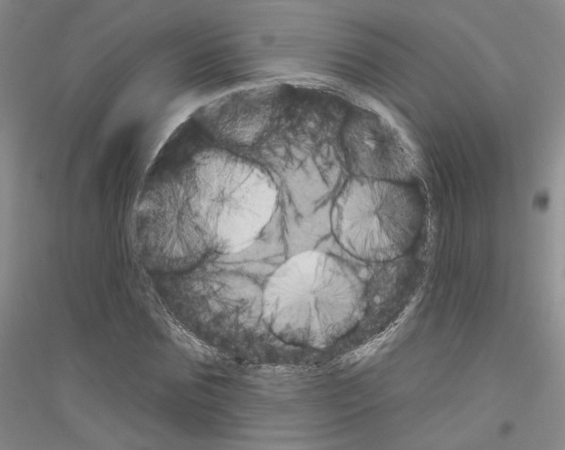 X0000116850875201002021043