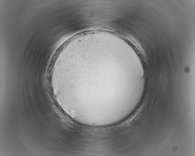 X0000116850876201002021043
