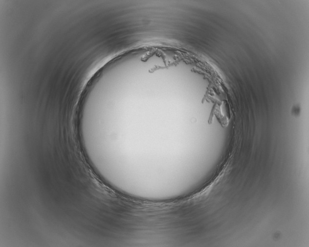X0000116850877201002021043