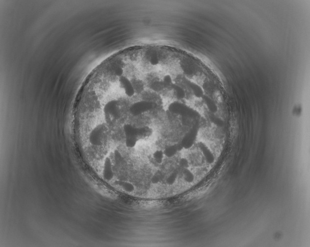 X0000116850879201002021043