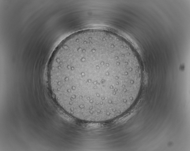 X0000116850883201002021043