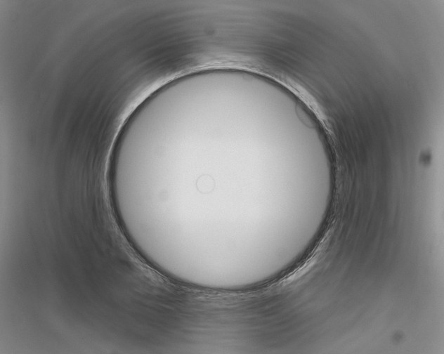 X0000116850885201002021043