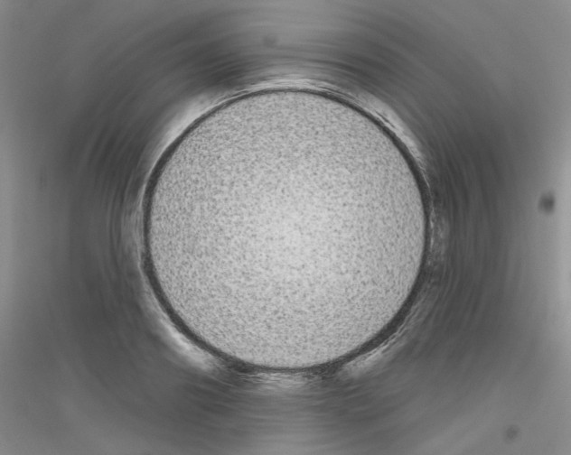 X0000116850890201002021043