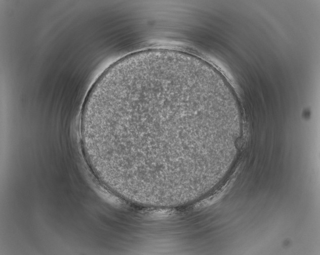 X0000116850891201002021043