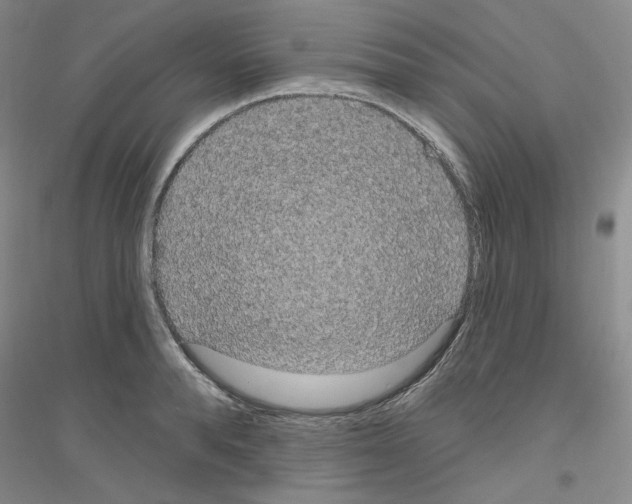 X0000116850896201002021043