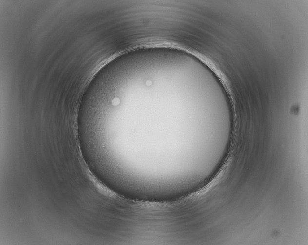 X0000116850897201002021043