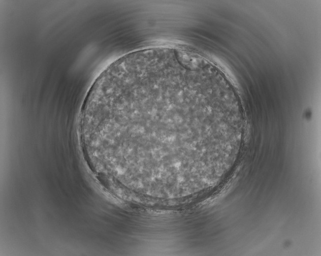 X0000116850899201002021043