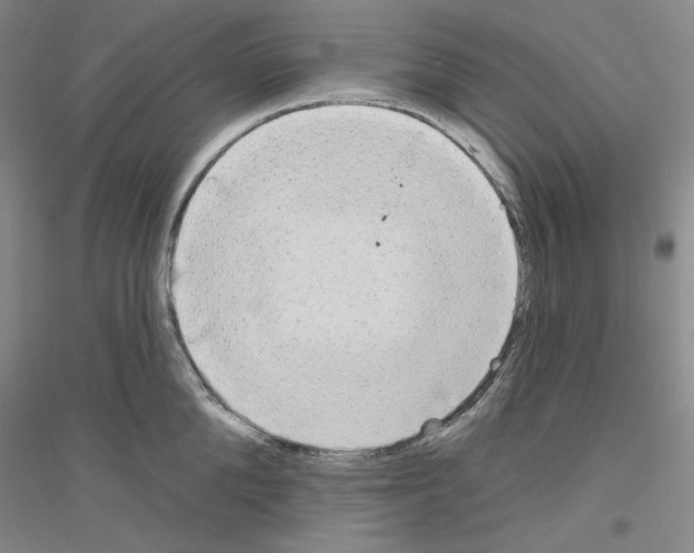 X0000116850904201002021043