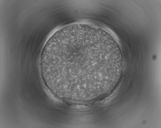 X0000116850907201002021043