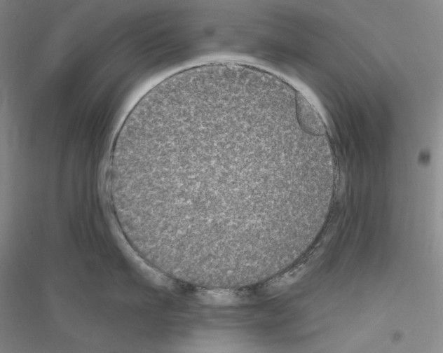 X0000116850911201002021043
