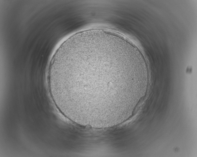 X0000116850912201002021043