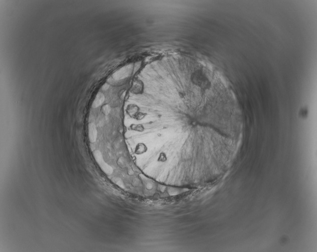 X0000116850913201002021042