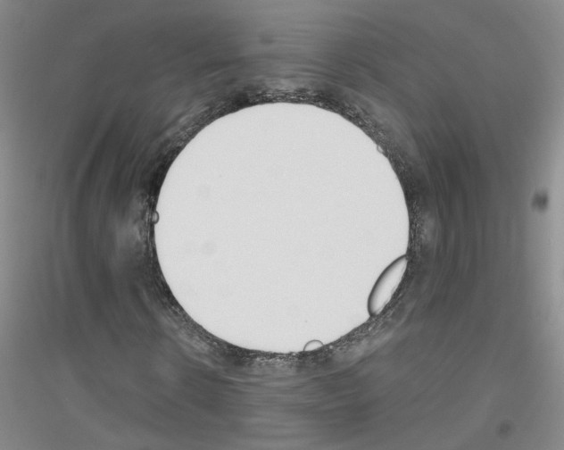 X0000116850914201002021042