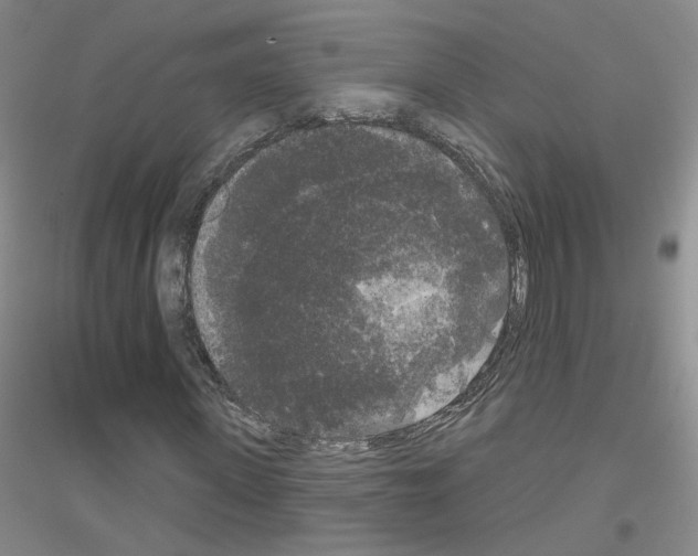 X0000116850915201002021042