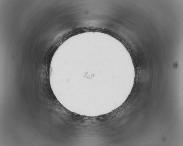 X0000116850918201002021042