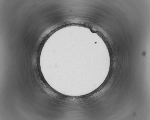 X0000116850922201002021042