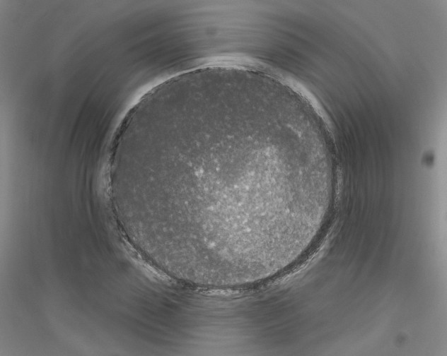X0000116850923201002021042