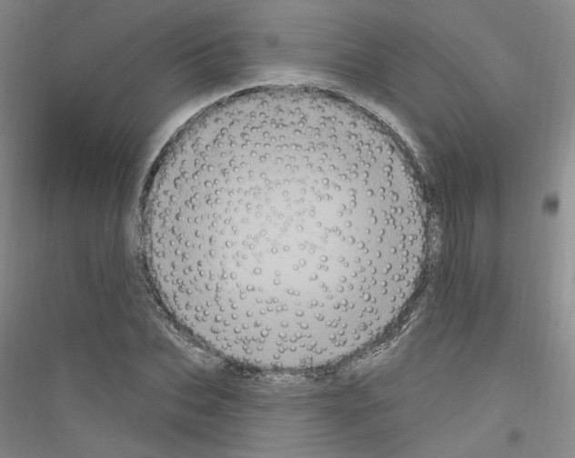 X0000116850927201002021042