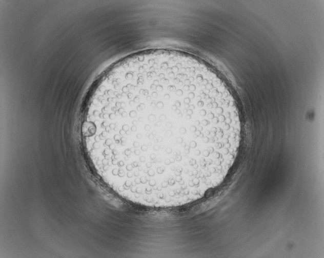 X0000116850931201002021042