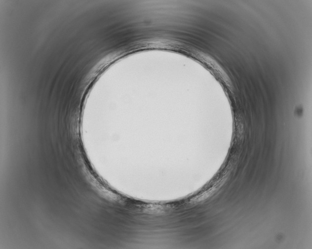 X0000116850938201002021042