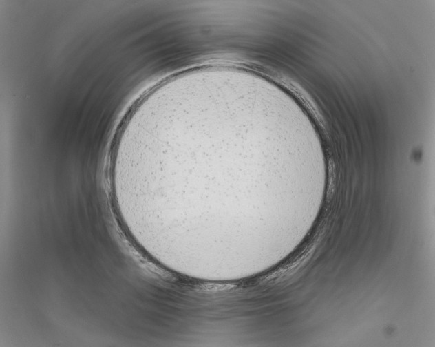 X0000116850939201002021042