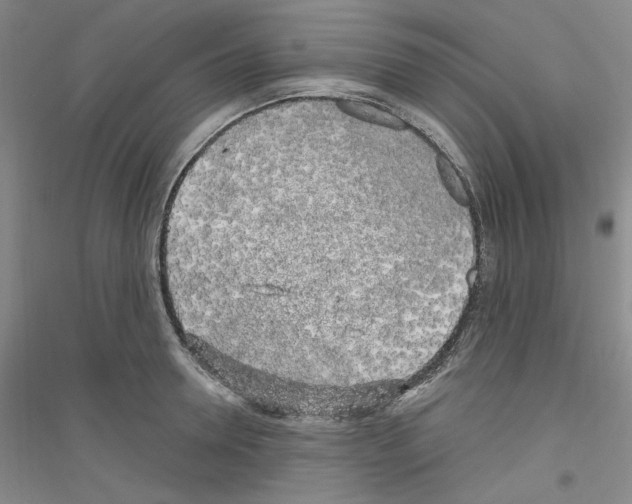 X0000116850946201002021042