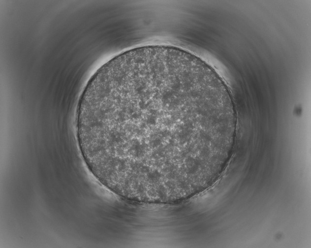 X0000116850950201002021042