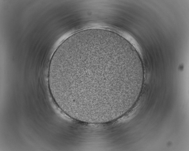 X0000116850954201002021042