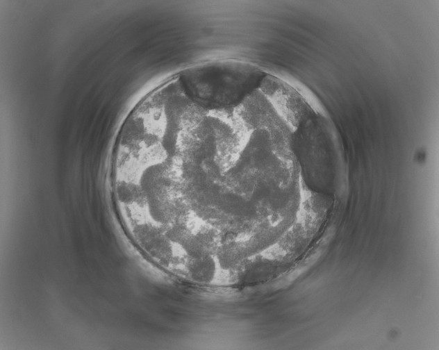 X0000116850957201002021042