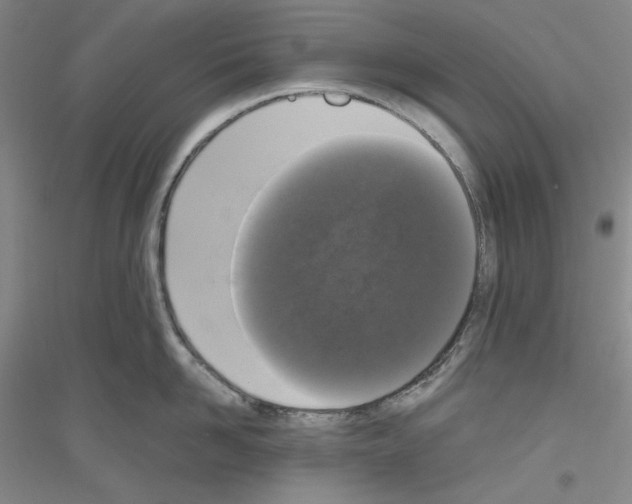 X0000116850958201002021042