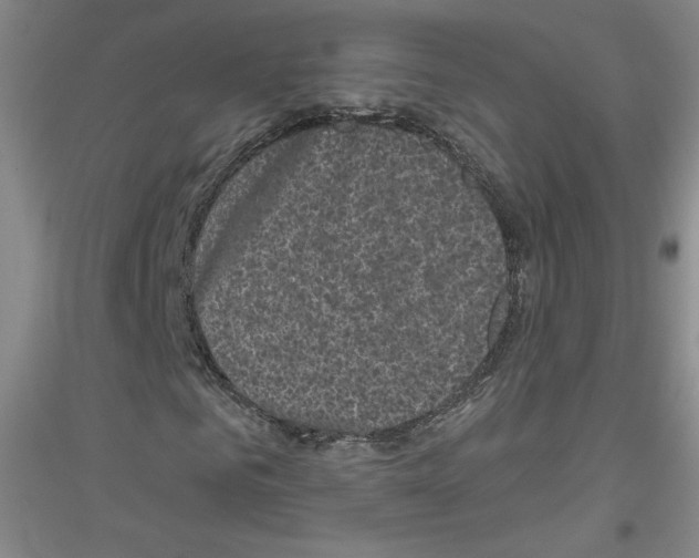 X0000116850961201002021042