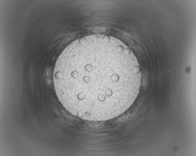 X0000116850962201002021042