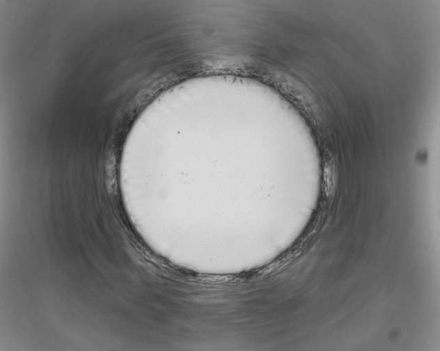 X0000116850963201002021042